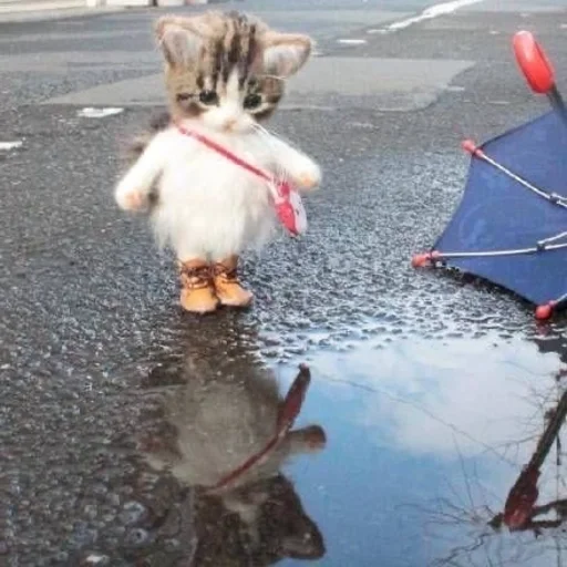 Стикер из набора 眩 для Телеграм: Статические 🥺