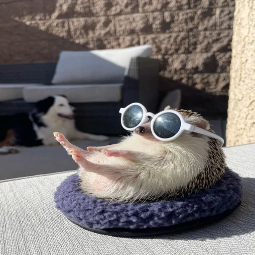 Стикер из набора 眩 для Телеграм: Статические 😎