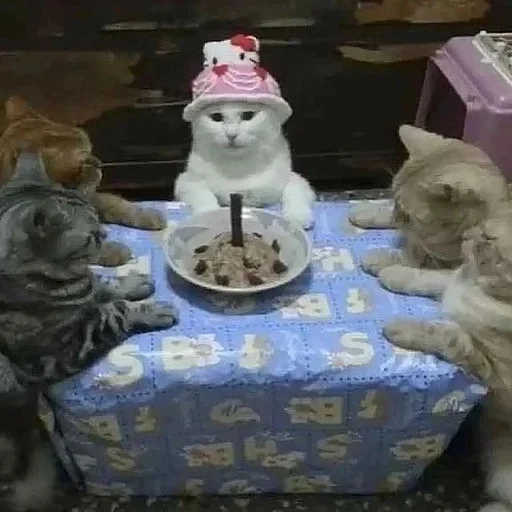 Стикер из набора 眩 для Телеграм: Статические 🎉