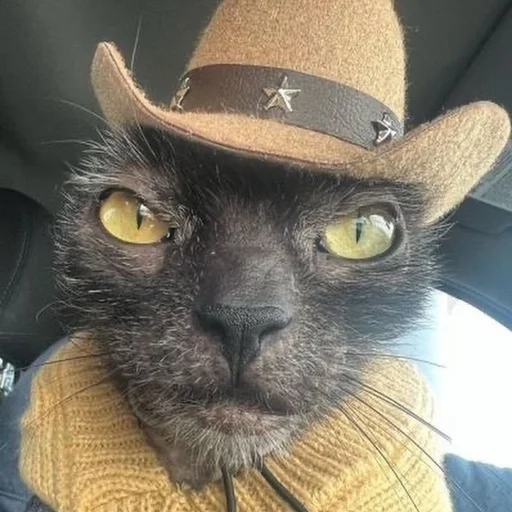 Стикер из набора 眩 для Телеграм: Статические 🤠
