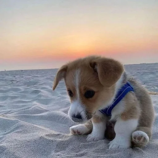 Стикер из набора 眩 для Телеграм: Статические 🥺