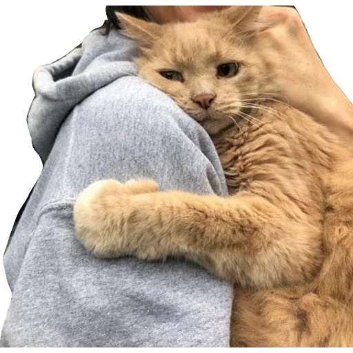 Стикер из набора •°~qwq~°• для Телеграм: Статические 😍