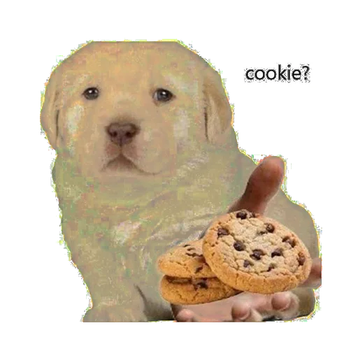 Стикер из набора IT1 | @emojis4 для Телеграм: Статические 🍪