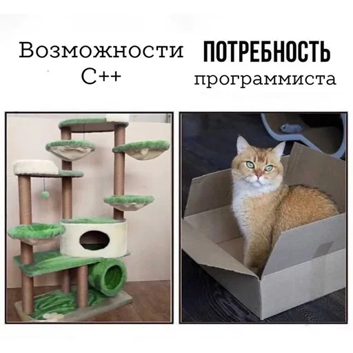 Стикер из набора IT1 | @emojis4 для Телеграм: Статические 🐱