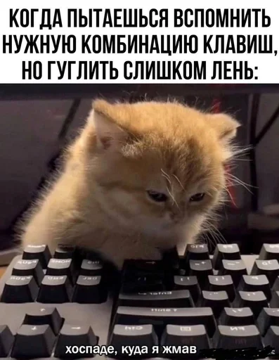 Стикер из набора IT2 | @emojis4 для Телеграм: Статические 🌟