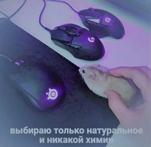 Стикер из набора IT3 | @emojis4 для Телеграм: Статические 🌟