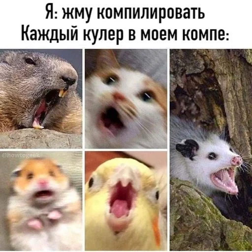Стикер из набора IT4 | @emojis4 для Телеграм: Статические 🌟