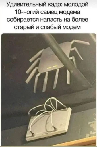 Стикер из набора IT4 | @emojis4 для Телеграм: Статические 🌟