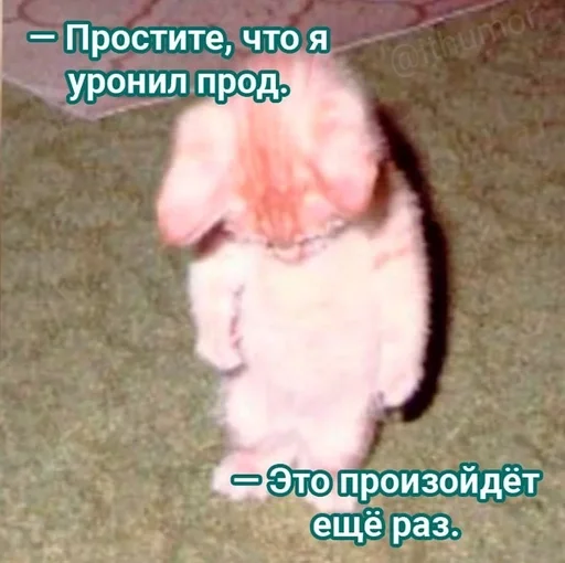 Стикер из набора IT4 | @emojis4 для Телеграм: Статические 🌟