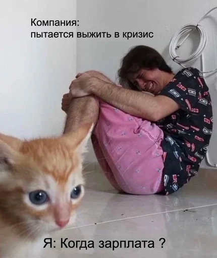 Стикер из набора IT4 | @emojis4 для Телеграм: Статические 🌟