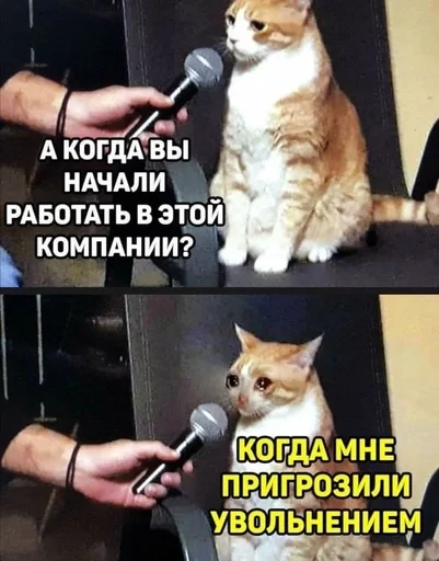 Стикер из набора IT4 | @emojis4 для Телеграм: Статические 🌟