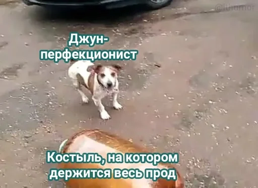 Стикер из набора IT4 | @emojis4 для Телеграм: Статические 🌟