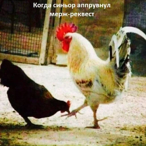 Стикер из набора IT4 | @emojis4 для Телеграм: Статические 🌟