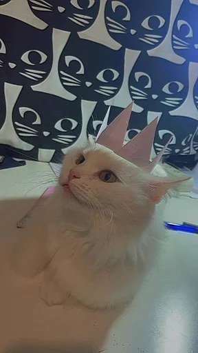 Стикер из набора кися-мися :: @fStikBot для Телеграм: Статические 👸