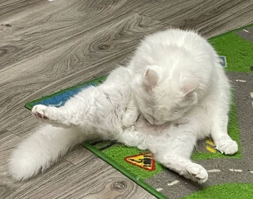 Стикер из набора кися-мися :: @fStikBot для Телеграм: Статические 🧽