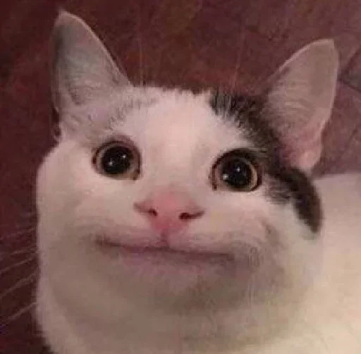 Стикер из набора kucing komplek для Телеграм: Статические 👍