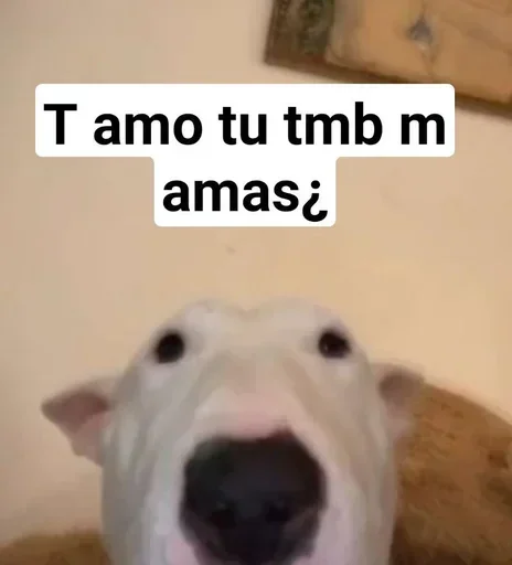 Стикер из набора añañin master для Телеграм: Статические ❤️