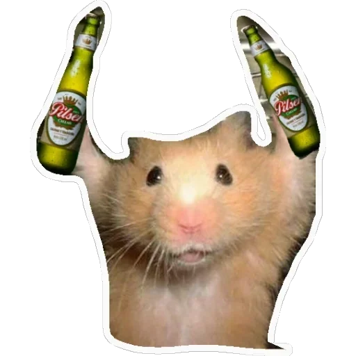 Стикер из набора añañin master для Телеграм: Статические 🍻