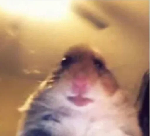Стикер из набора añañin master для Телеграм: Статические 🐹
