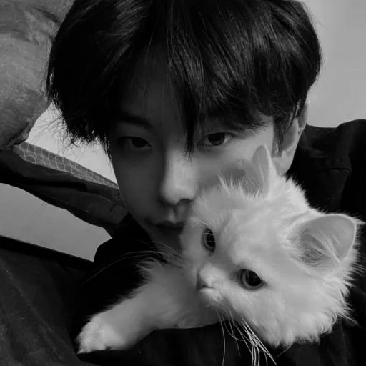 Стикер из набора Liumeng dark - @liumengch для Телеграм: Статические 🖤