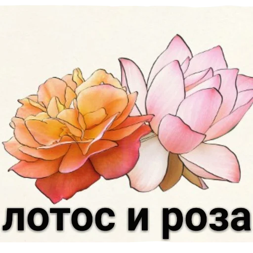 Стикер из набора венок для Телеграм: Статические 😜