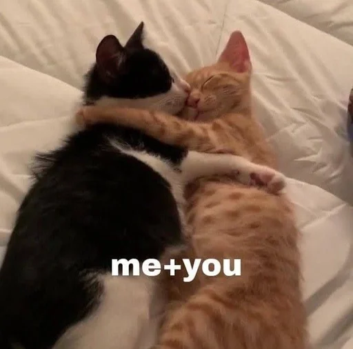 Стикер из набора ты лох :: @fStikBot для Телеграм: Статические 💋