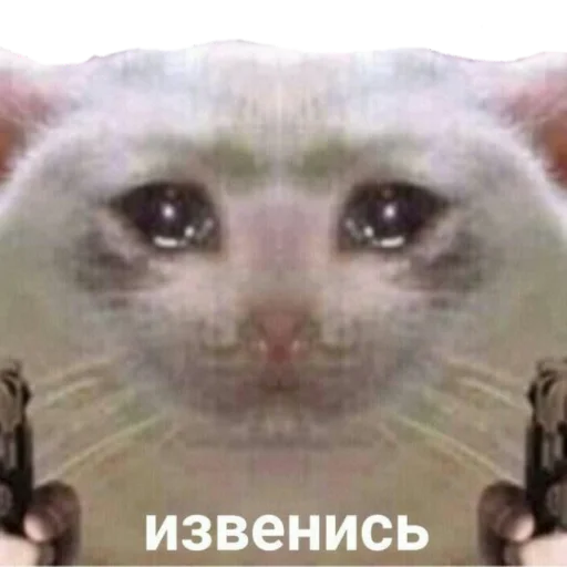 Стикер из набора MEM для Телеграм: Статические 🥺