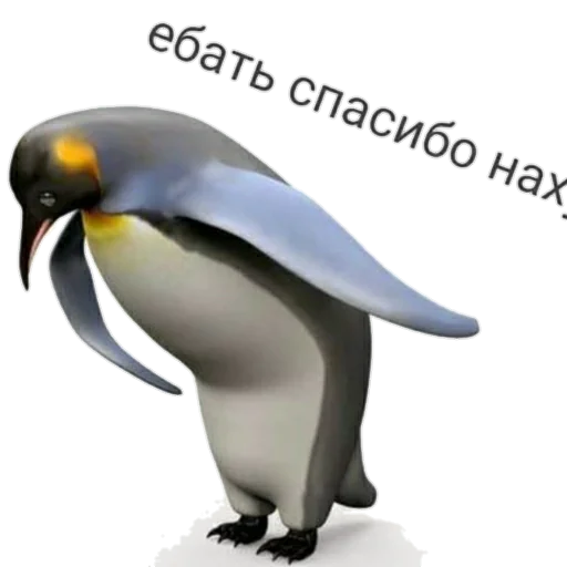 Стикер из набора MEM для Телеграм: Статические 😩