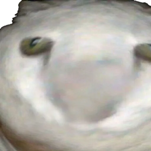 Стикер из набора MEM для Телеграм: Статические 😾