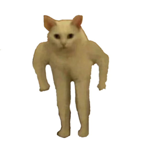 Стикер из набора MEM для Телеграм: Статические 😼