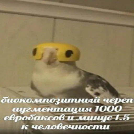Стикер из набора Лично мне Cyberpunk для Телеграм: Статические 🌚