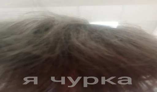 Стикер из набора noswatt для Телеграм: Статические 🤡