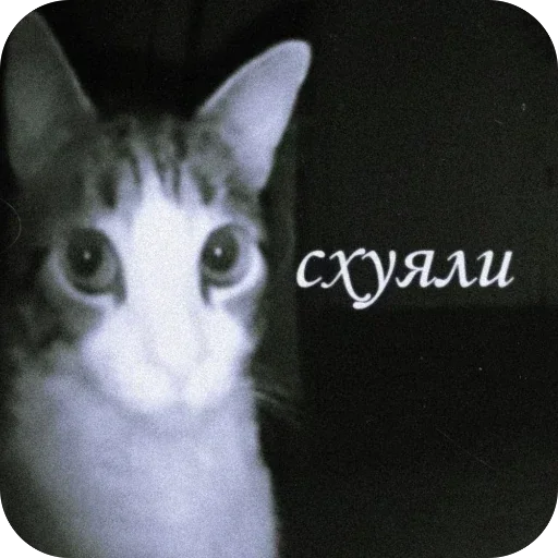 Стикер из набора Oasthh для Телеграм: Анимированные, Видео, Статические 🫥