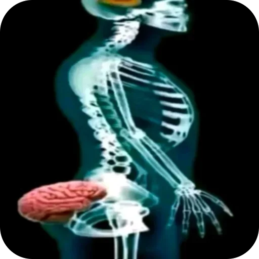 Стикер из набора Oasthh для Телеграм: Анимированные, Видео, Статические 🧠