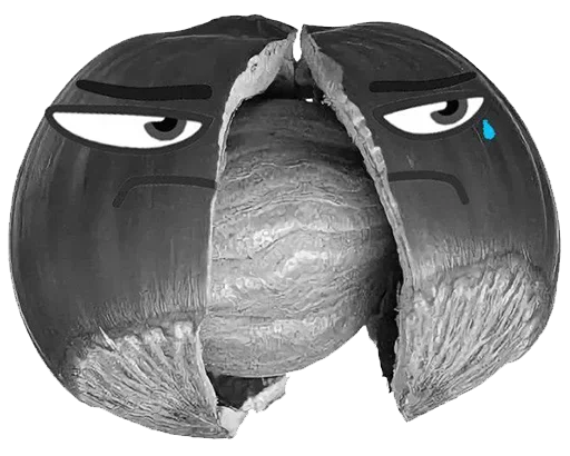 Стикер из набора Nut @stickersb2b для Телеграм: Анимированные, Видео, Статические 😉
