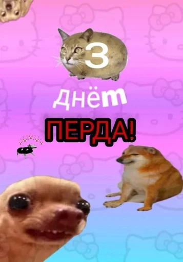 Стикер из набора puka puka 2 𖤐 :: @fStikBot для Телеграм: Статические 💩