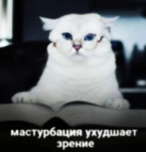 Стикер из набора puka puka 2 𖤐 :: @fStikBot для Телеграм: Статические 😁