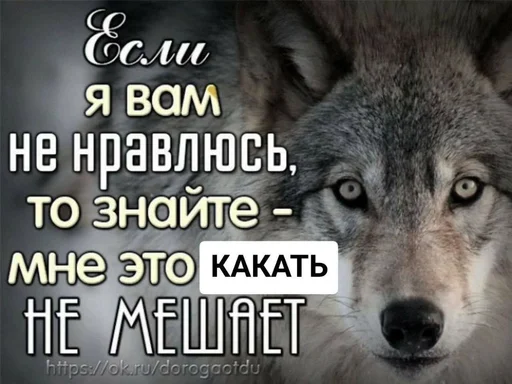 Стикер из набора puka puka 2 𖤐 :: @fStikBot для Телеграм: Статические 💩