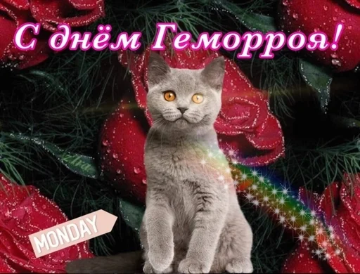 Стикер из набора puka puka 2 𖤐 :: @fStikBot для Телеграм: Статические 💩
