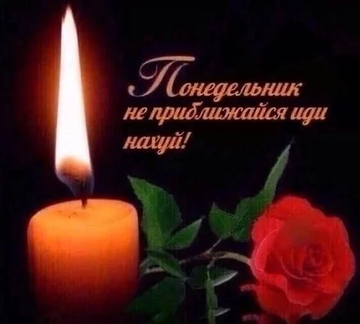 Стикер из набора puka puka 2 𖤐 :: @fStikBot для Телеграм: Статические ☺