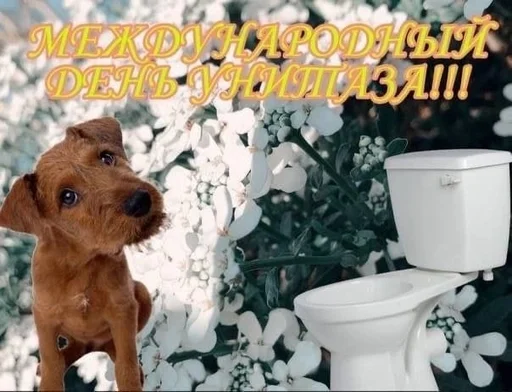 Стикер из набора puka puka 2 𖤐 :: @fStikBot для Телеграм: Статические 🚽