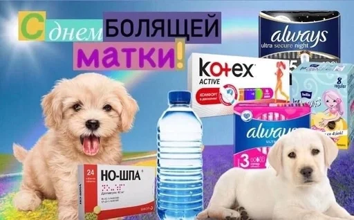 Стикер из набора puka puka 2 𖤐 :: @fStikBot для Телеграм: Статические 😭