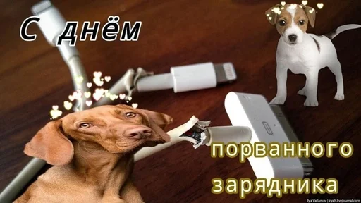 Стикер из набора puka puka 2 𖤐 :: @fStikBot для Телеграм: Статические 🔋