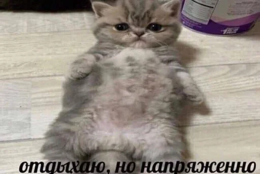 Стикер из набора puka puka 2 𖤐 :: @fStikBot для Телеграм: Статические 😪