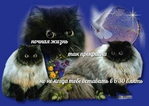 Стикер из набора puka puka 2 𖤐 :: @fStikBot для Телеграм: Статические 😞