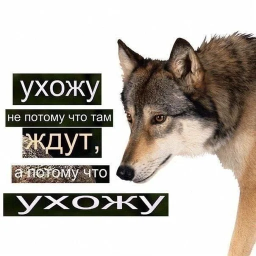Стикер из набора puka puka 2 𖤐 :: @fStikBot для Телеграм: Статические 👋