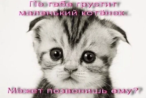 Стикер из набора puka puka 2 𖤐 :: @fStikBot для Телеграм: Статические ☎