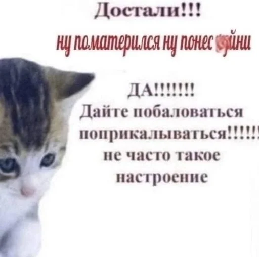 Стикер из набора puka puka 2 𖤐 :: @fStikBot для Телеграм: Статические 🤬