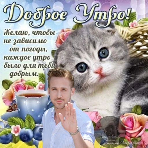 Стикер из набора добрый Гослинг от @ryangoslingmem для Телеграм: Статические ☀️