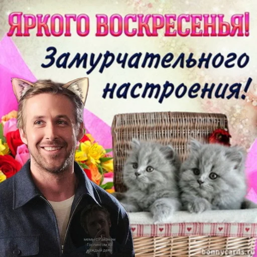 Стикер из набора добрый Гослинг от @ryangoslingmem для Телеграм: Статические 😺